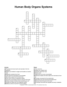 Human Body Organs & Systems Crossword Puzzle