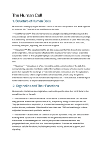 Human Cell Structure & Function: A Comprehensive Overview