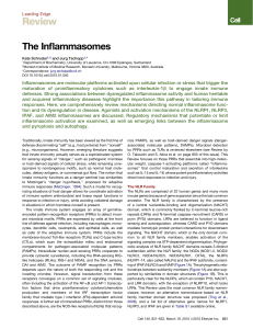 Inflammasomes Review: Mechanisms, Activation, and Regulation