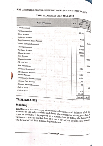 Trial Balance Example: Accounting Ledger & Financial Statement