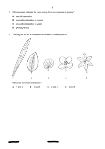 Biology Exam Paper: Respiration, Cells, Ecology