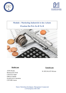 Fixation des prix B2B : Marketing Industriel et Achats