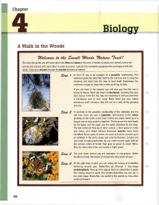 Woodland Biology: Flora, Fauna, and Ecosystems