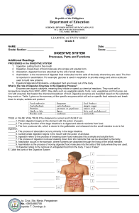 Grade 8 Digestive System: Processes, Parts & Functions