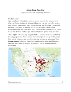 Asian Carp: Invasive Species & Ecosystem Impact