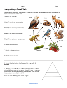 Food Web Worksheet: Interpreting Ecosystems