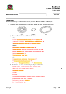 Grade 8 Biology: Blood Vessels, Cells & Lymphatics Seatwork