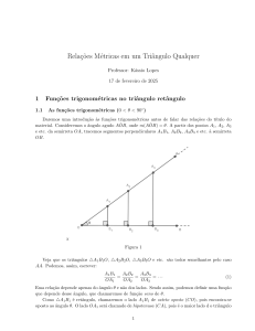 Relações Métricas em Triângulos: Trigonometria e Aplicações