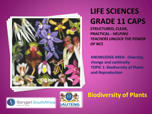 Plant Biodiversity & Reproduction: Grade 11 Life Sciences