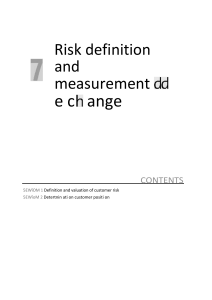 Risk Definition & Measurement: Exchange Rate & Customer Risk