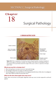 Gastric Ulcers & Carcinoma: Surgical Pathology Chapter