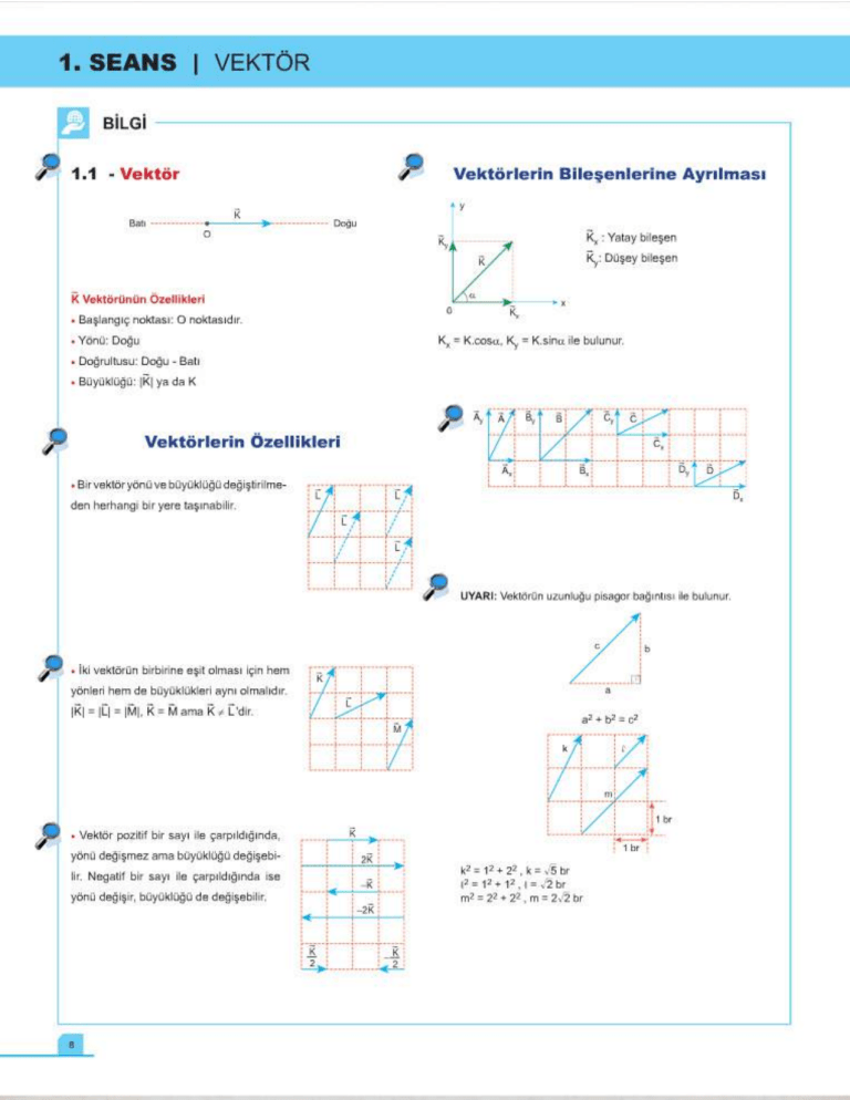 Vectors in Physics: Properties and Components