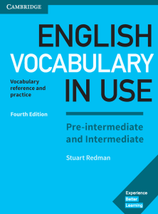 English Vocabulary in Use: Pre-intermediate/Intermediate