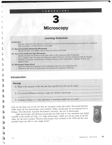 Microscopy Lab: Microscope Use & Cell Observation