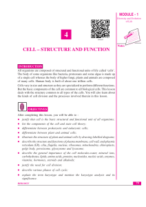 Cell Structure and Function: Biology Textbook Excerpt