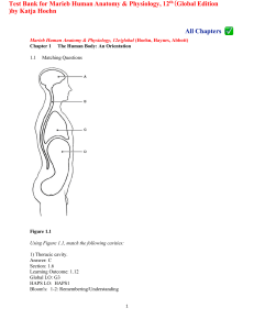 Human Anatomy & Physiology Test Bank, 12th Ed.