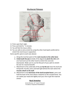 Myofascial Release & Neck Stretches Guide