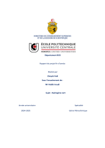 Hydrogène vert : Rapport de projet de fin d'année