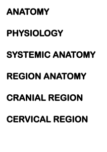 Anatomy & Physiology Key Terms: Regions & Directions