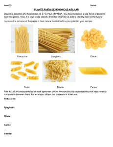 Planet Pasta Dichotomous Key Lab Worksheet