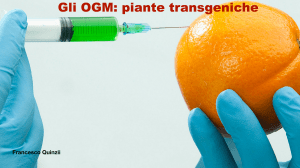 OGM: Piante Transgeniche - Cosa Sono e Come Vengono Create