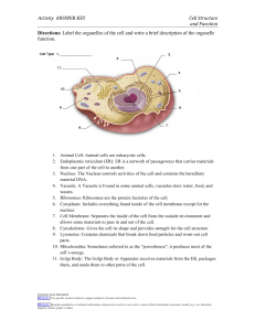 Cell Structure & Function Worksheet: Animal & Plant Cells