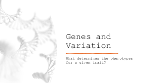 Genes and Variation: Genotype vs. Phenotype