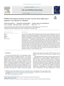 TNF-α1 Knockout Augments Viral Infection in Zebrafish