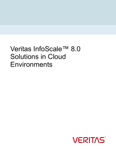 infoscale cloud support 80