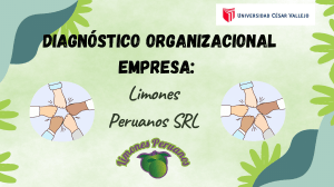 Diagnóstico Organizacional Limones Peruanos SRL