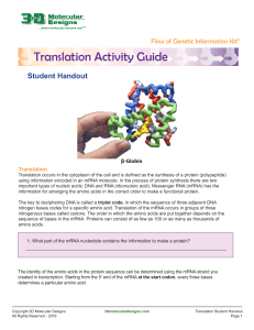 Translation: mRNA, Codons, tRNA - Student Handout