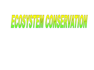 ECOSYSTEM