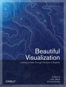 Beautiful Visualization: Data Insights from Experts