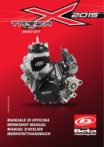 Beta Motorcycle Engine Workshop Manual