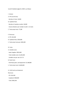 Carroll Clinic Flexible Budget Analysis 2020