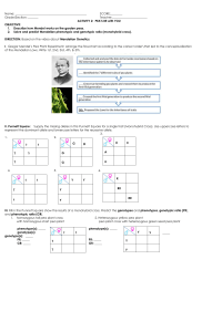 Mendelian Genetics: Monohybrid Cross Worksheet