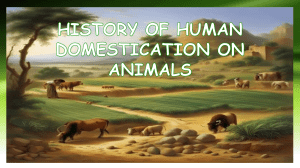 Animal Domestication: History, Examples, and Impacts