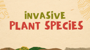 Invasive Plant Species: Definition, Impact & Examples
