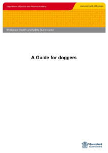 Guide for Doggers: Safe Slinging, Load Calculation & Workplace Safety