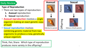 Asexual & Sexual Reproduction Worksheet: Middle School Science