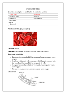 Specialized Cells: Structure and Function