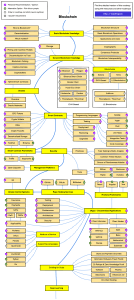 Blockchain Roadmap: Learn Blockchain Development