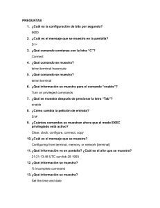 Preguntas y Respuestas: Configuración de Red y Comandos