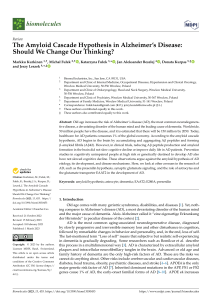 Amyloid Hypothesis in Alzheimer's: A Critical Review