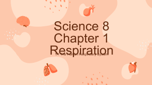 Human Respiratory System: Science 8 Lesson