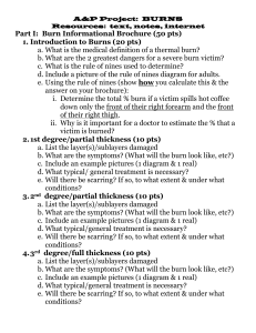 Burns: Types, Treatment & Rule of Nines - Brochure Project