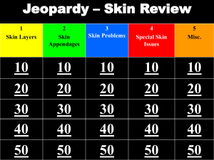 Skin Review Jeopardy Game: Anatomy & Physiology