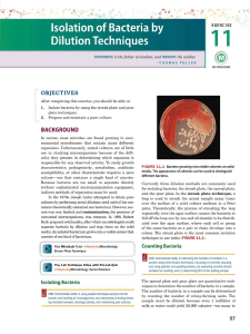 Bacterial Isolation: Dilution Techniques Lab Exercise