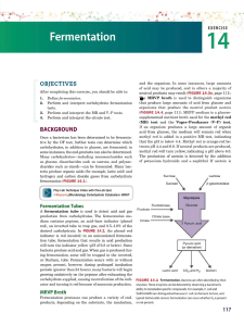 Fermentation Lab Exercise: Microbiology Tests & Analysis