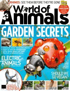 World of Animals Magazine: Rhinos, Gardens, and Electric Beasts